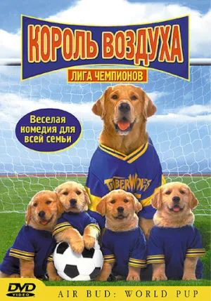 Король воздуха: Лига чемпионов (сериал 2000)