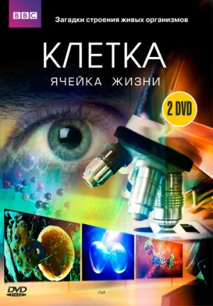 BBC: Клетка (сериал 2009)