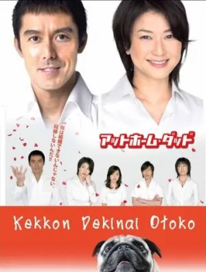 Убеждённый холостяк (сериал 2006)
