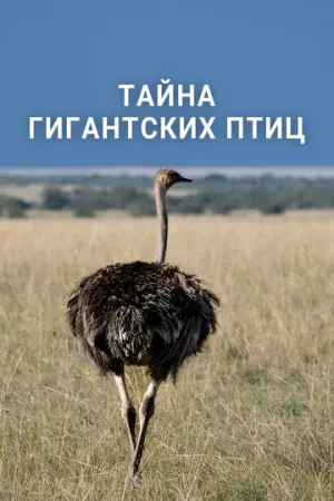 Тайна гигантских птиц (2024)