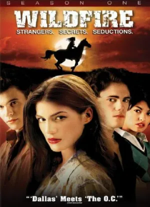 Дикий огонь (сериал 2005)