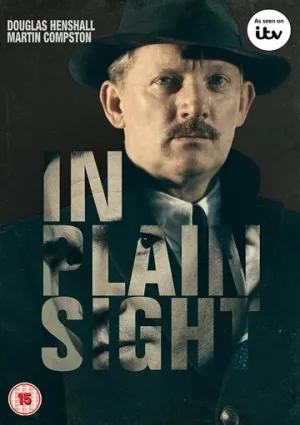 На виду (сериал 2016)