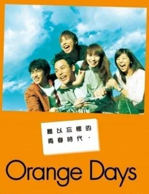 Оранжевые дни (сериал 2004)