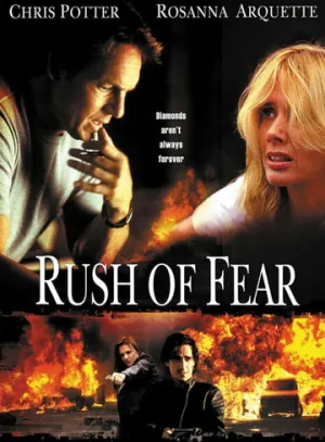 Бесследно похищенный (2003)